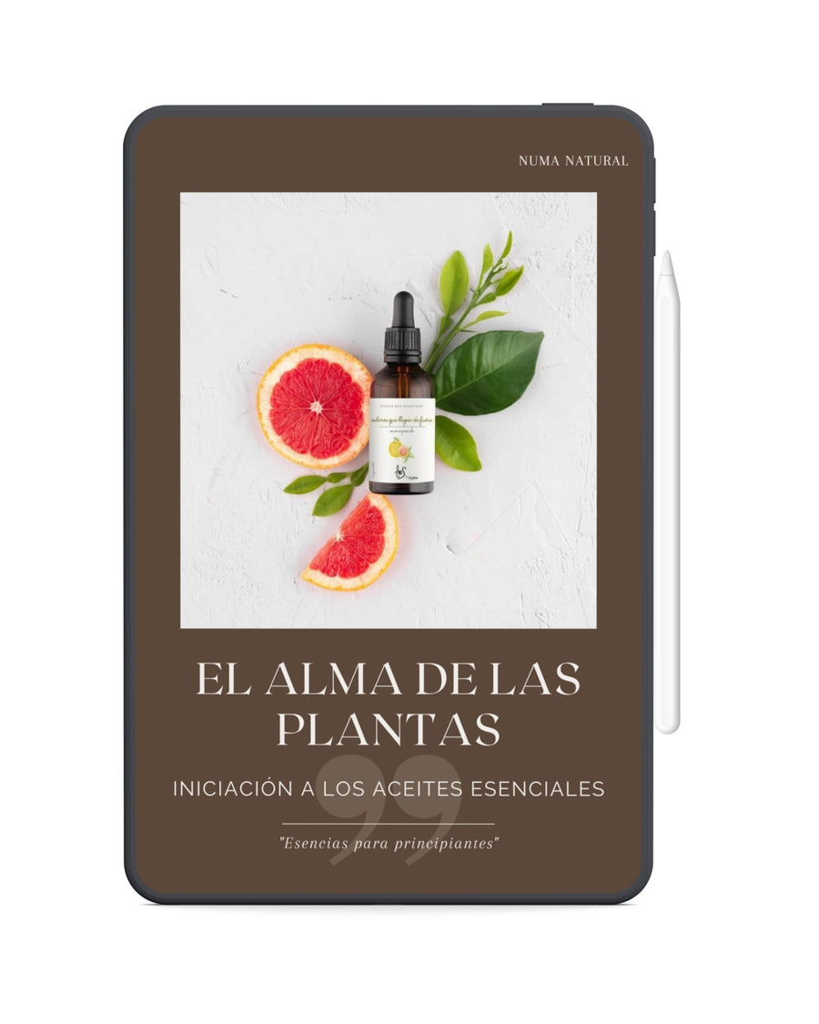 Aceites Esenciales: Uso Seguro en Belleza y Bienestar